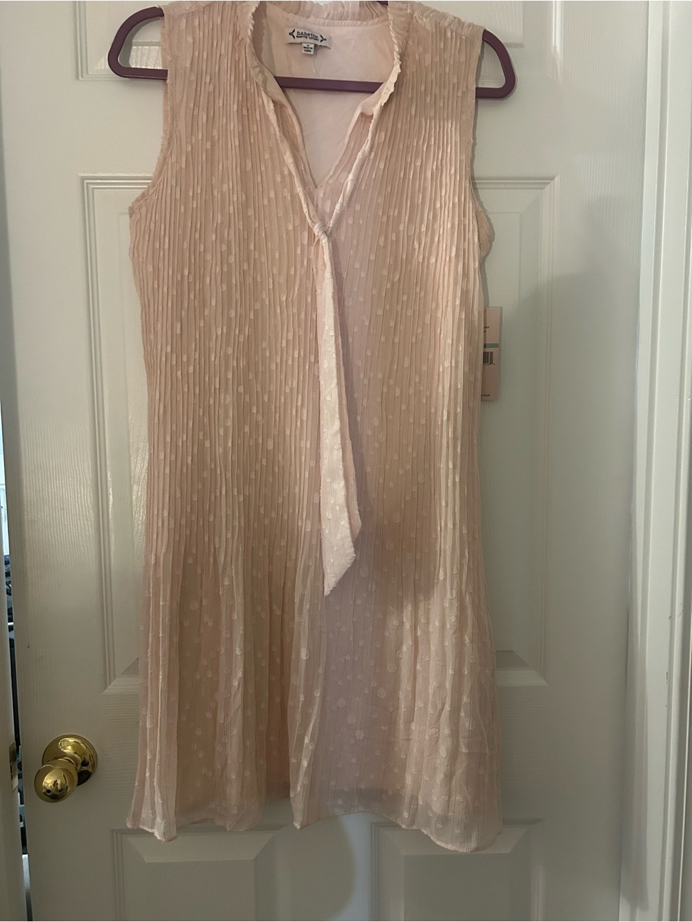 Nanette Lepore Blush Pleated Chiffon mini dress